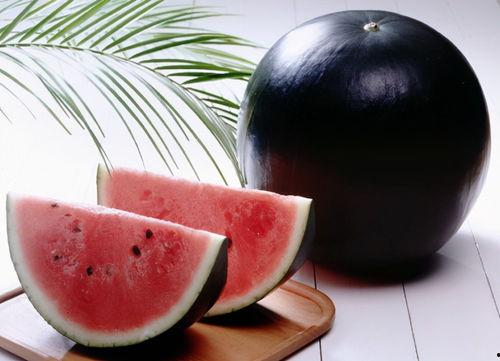 吃瓜网免费官网全球